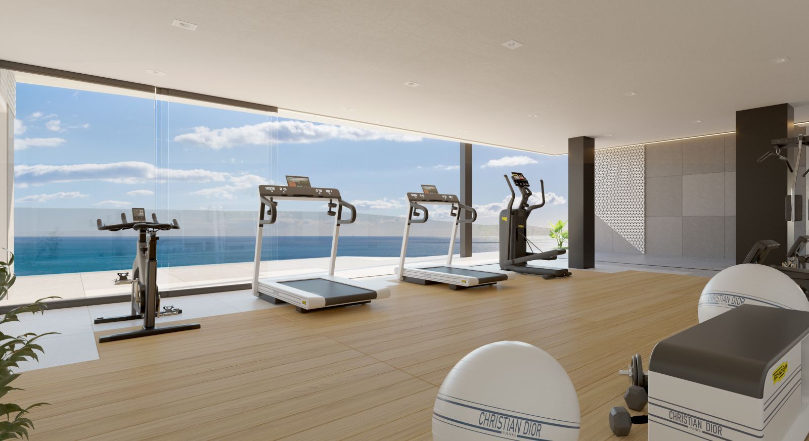Luxe home gym met uitzicht op zee en Christian Dior ballen.
